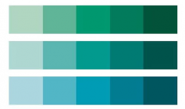 国产精品 入口9色,探索色彩斑斓的美食世界